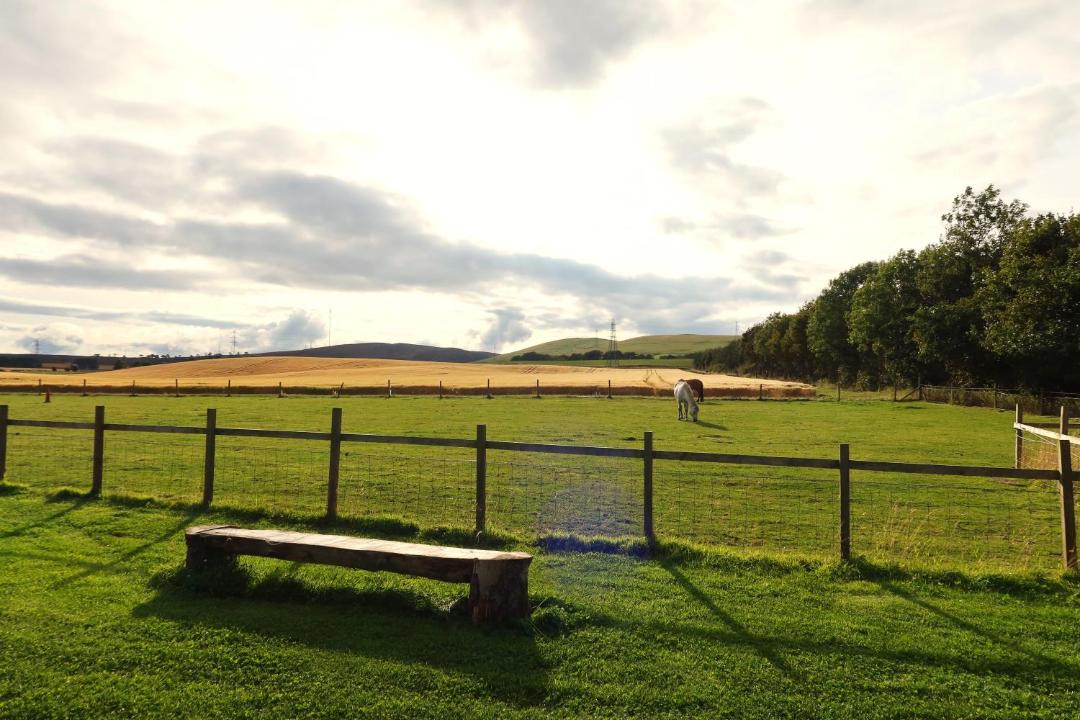 Photo of Others in Murthill