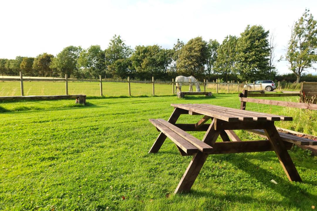 Photo of Others in Murthill