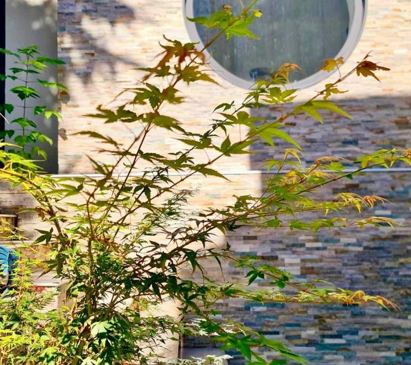 Photo of Others in Bagneux