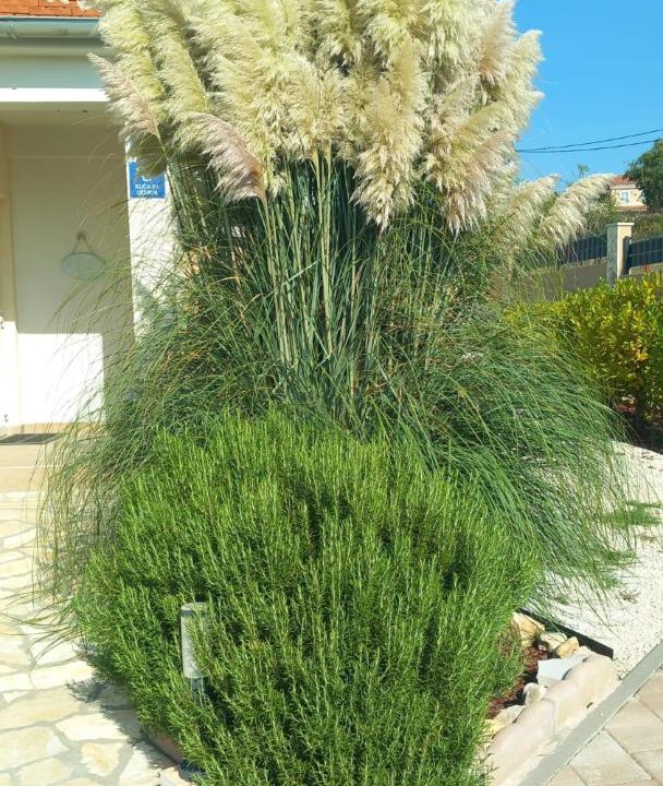 Photo of Outdoor in Pridraga