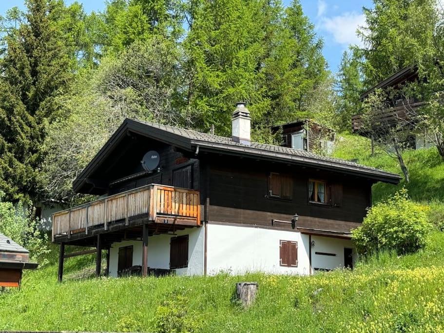 Photo of Others in Bellwald