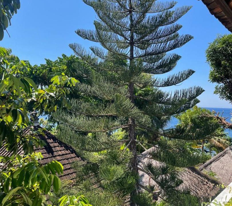 Photo of Others in Amed