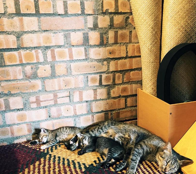 Photo of Others in Cherating