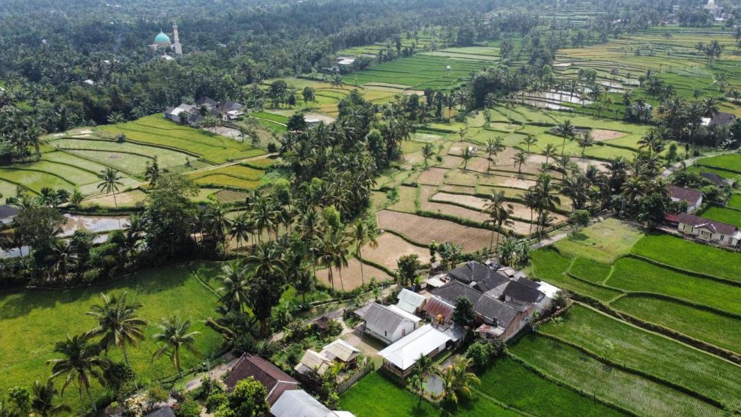 Photo of Others in Tetebatu