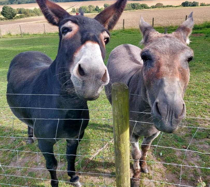 Photo of Others in West Rainton