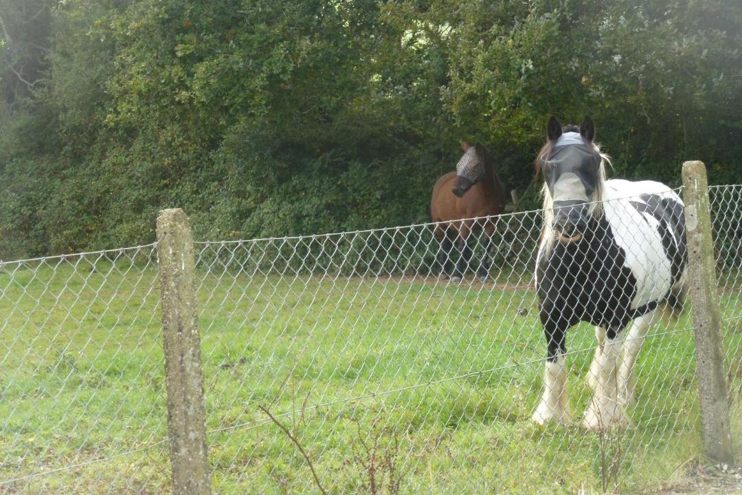 Photo of Others in Newton Saint Cyres