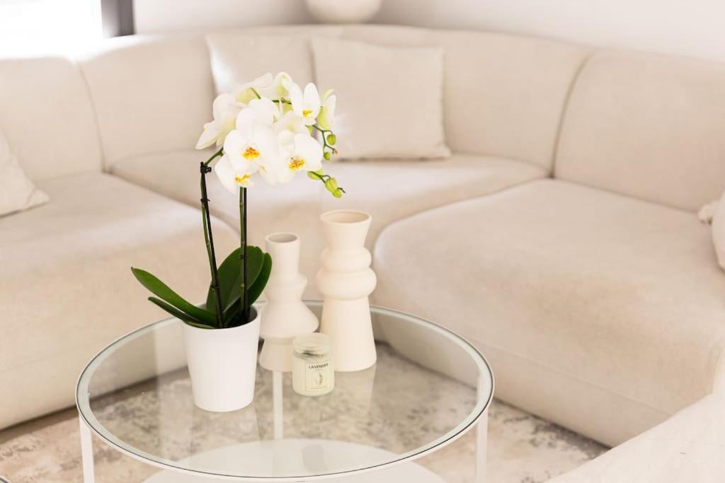 Photo of Others in Le Plessis-Bouchard