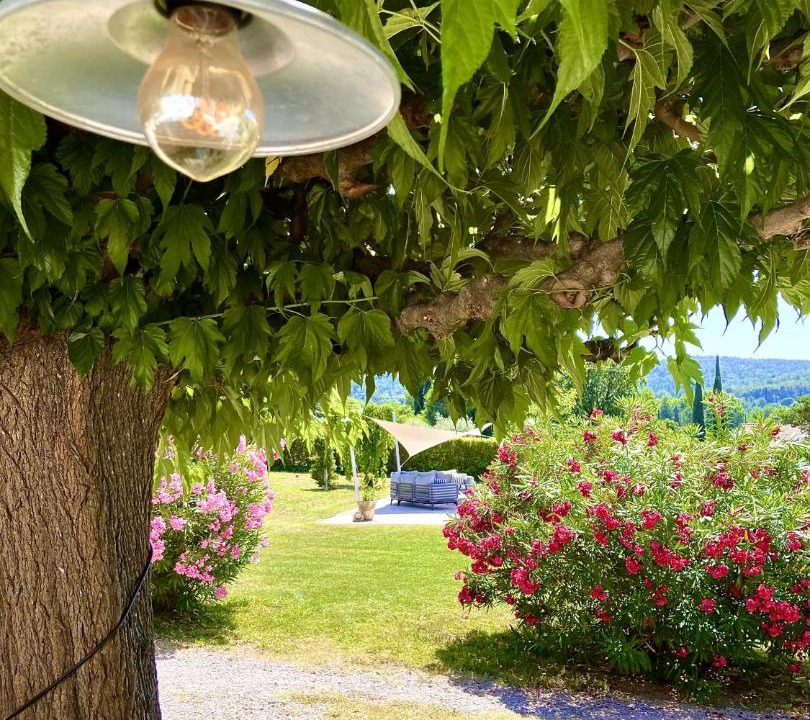 Photo of Outdoor in Correns