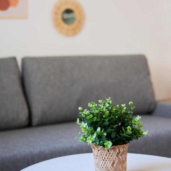 Photo of Livingroom in Poincare - Foch - Anatole France - Croix de Bourgogne