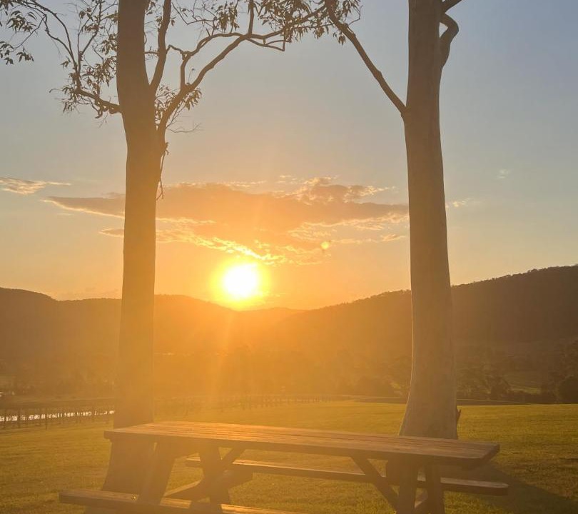 Photo of Others in Mount View