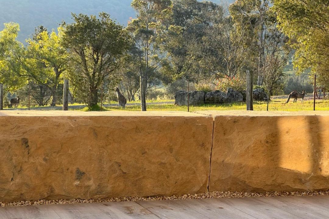 Photo of Others in Mount View