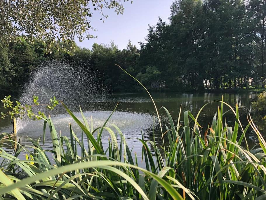 Photo of Outdoor in Bourbourg