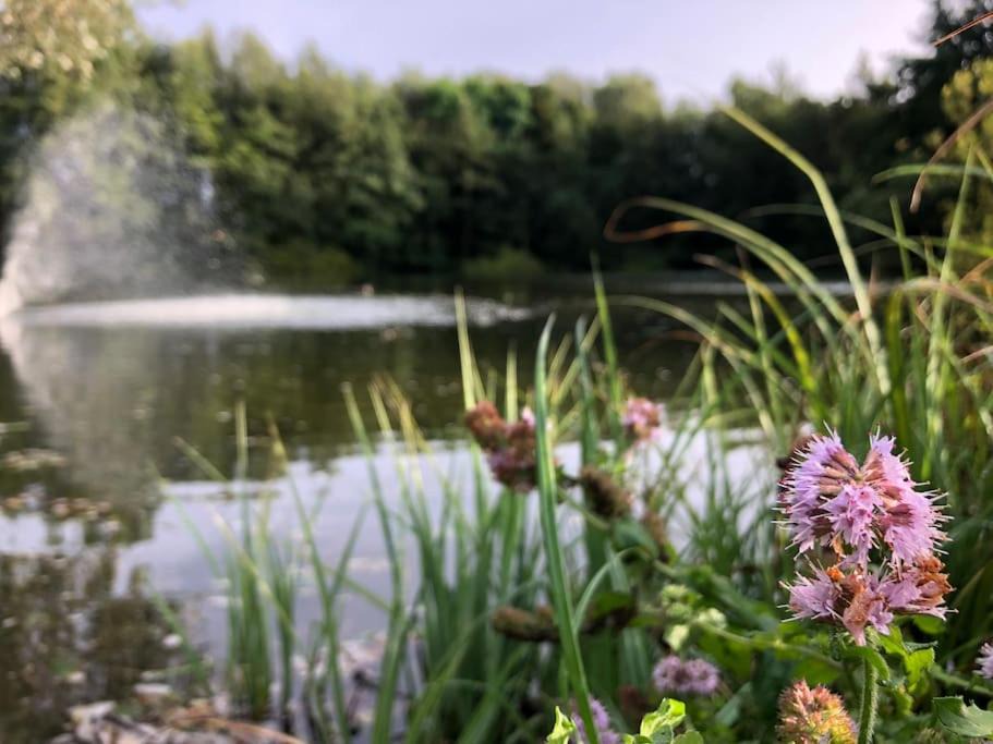 Photo of Others in Bourbourg