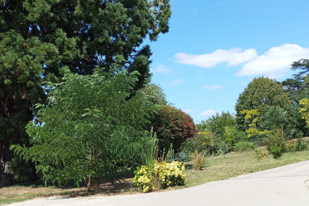 Photo of Others in Airvault