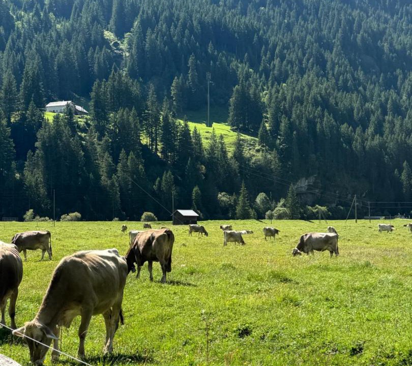Photo of Others in Urnerboden