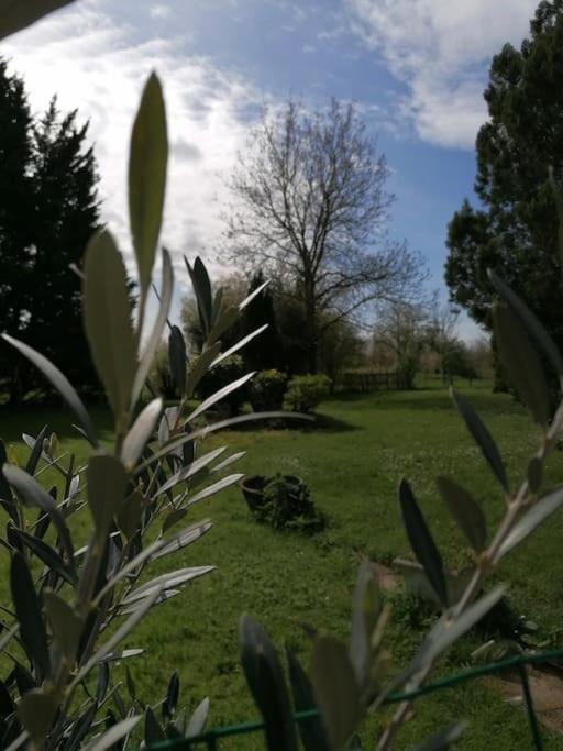 Photo of Outdoor in Dommartin