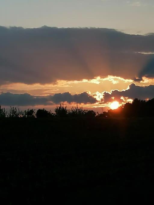 Photo of Others in Dommartin