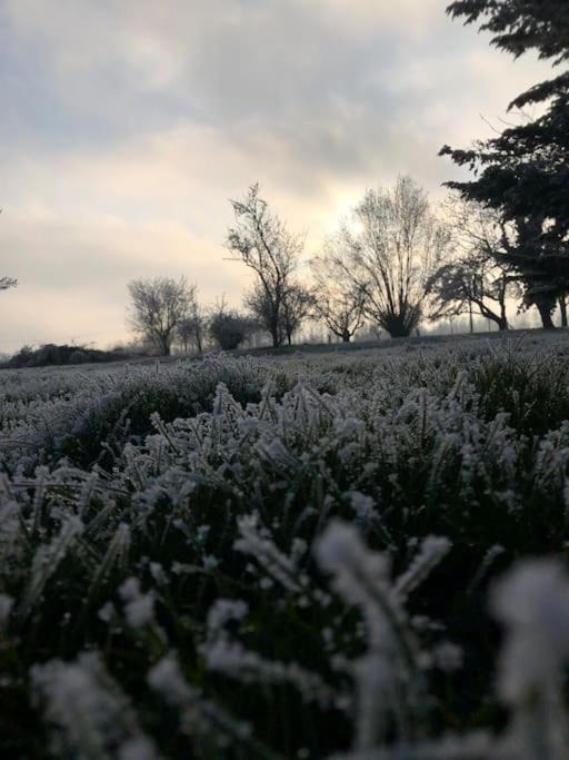 Photo of Others in Dommartin