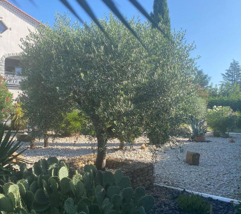 Photo of Others in Sablons