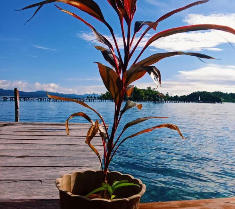 Photo of Others in Mansuar Island