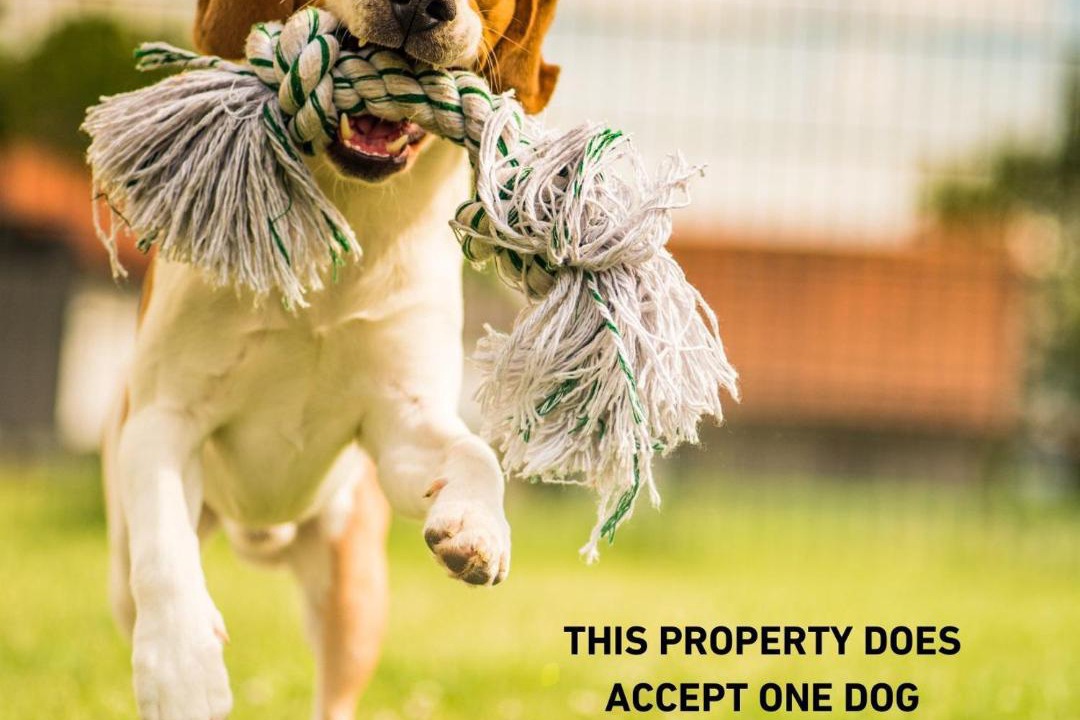 Photo of Others in Lochcarron