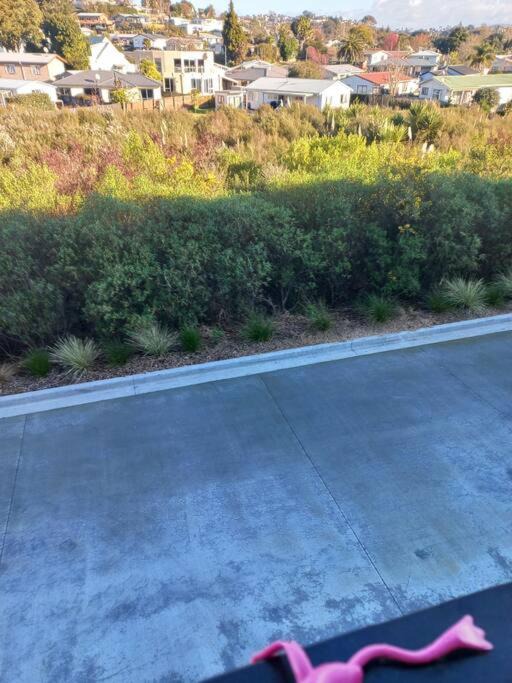 Photo of Others in Tauranga