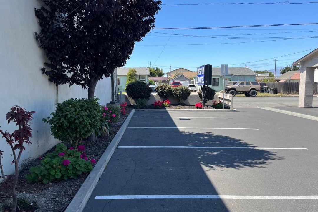 Photo of Others in Salinas