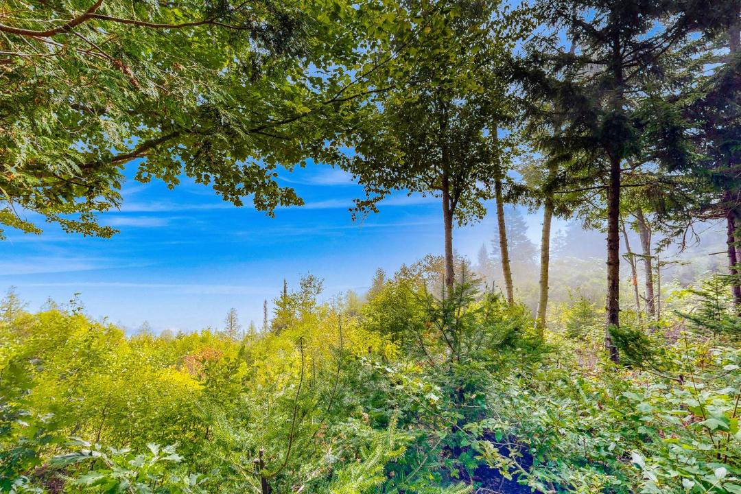 Photo of Others in Northport