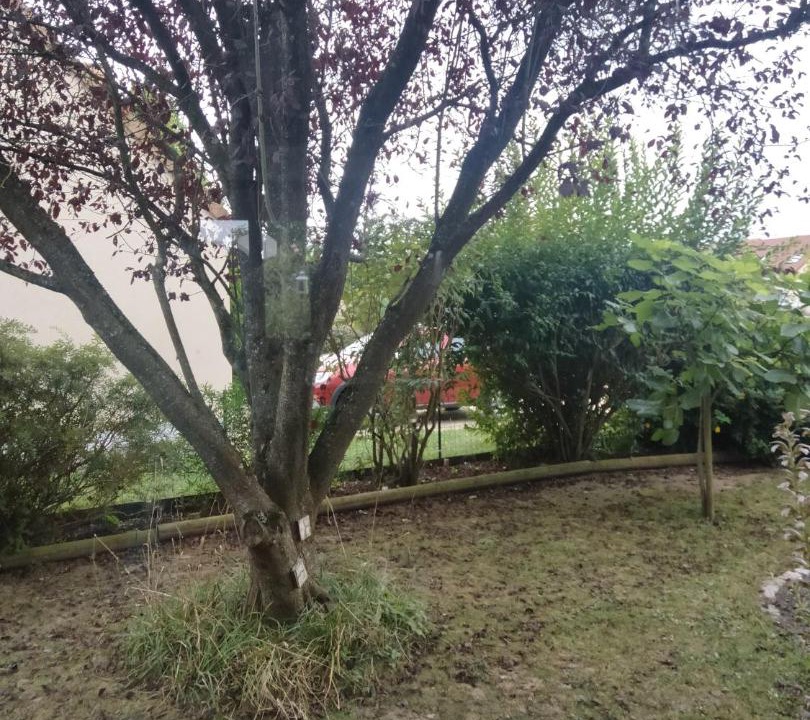 Photo of Others in Teloche