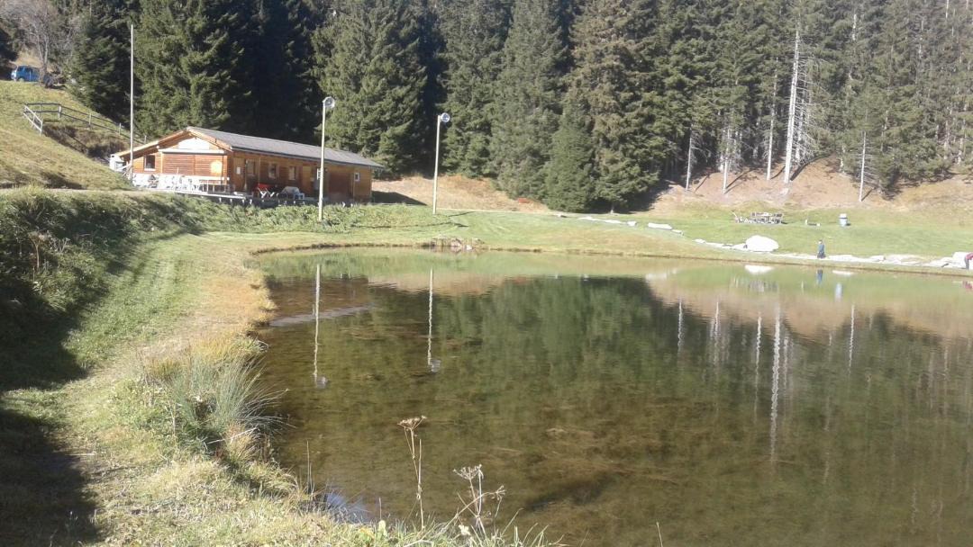 Photo of Others in Oberurmein