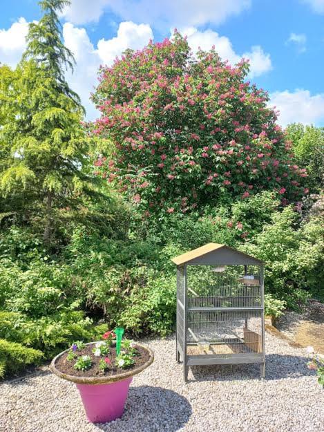 Photo of Outdoor in Villemotier