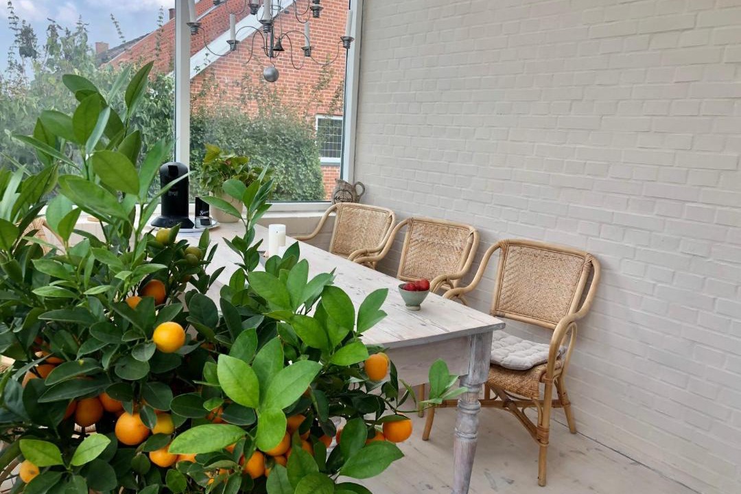 Photo of Patio Balcony in Randers