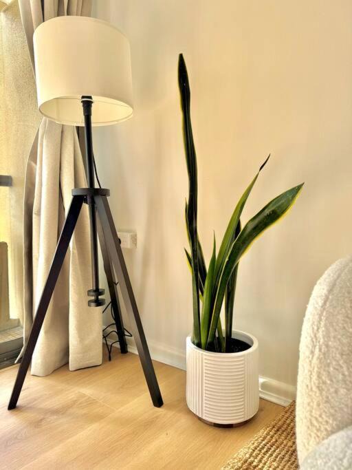 Photo of Livingroom in Darlinghurst