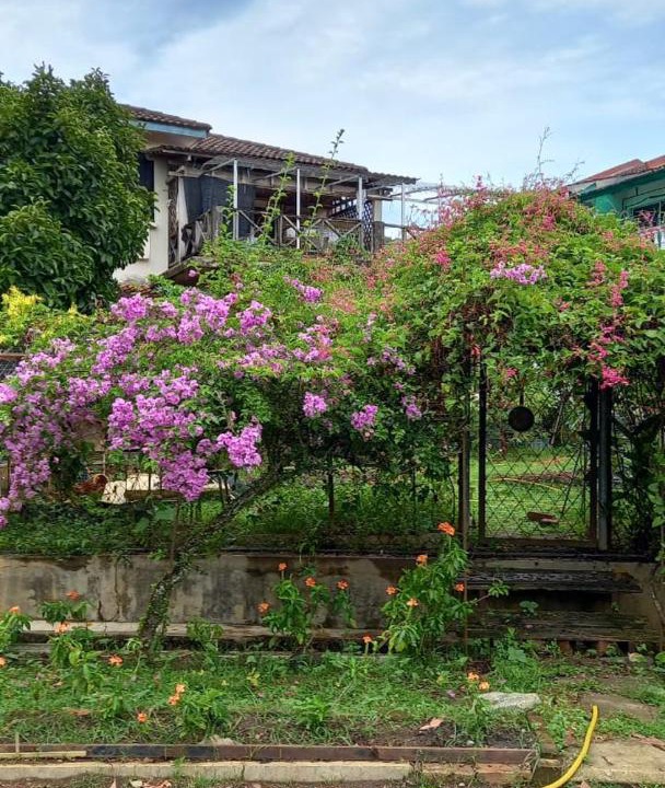 Photo of Others in Bentong