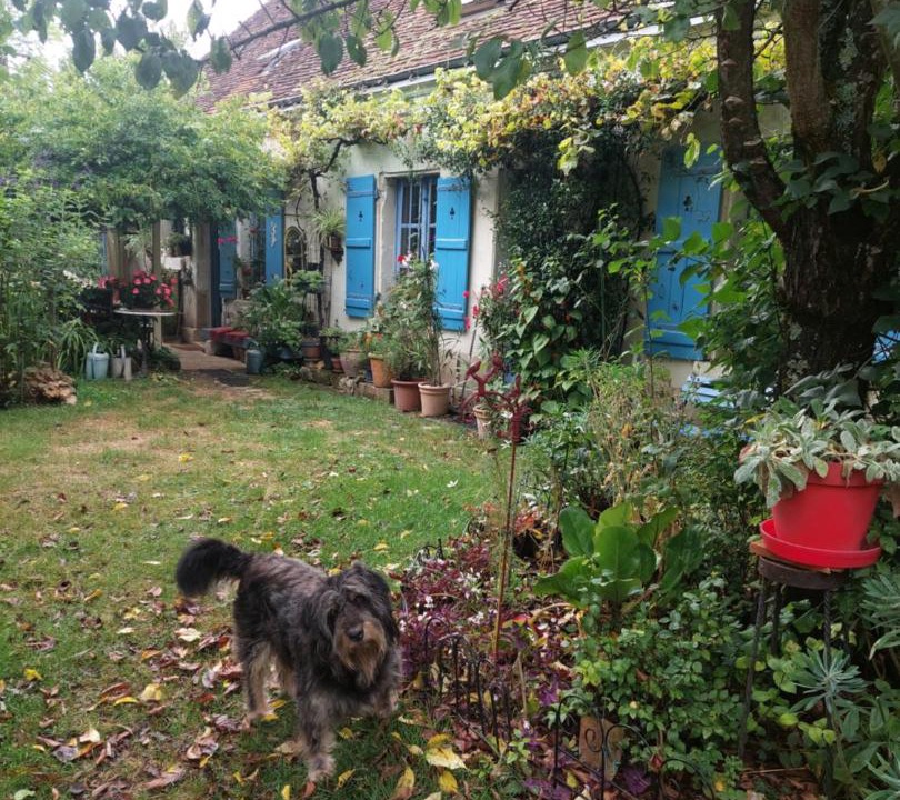 Photo of Others in La Croix-en-Touraine