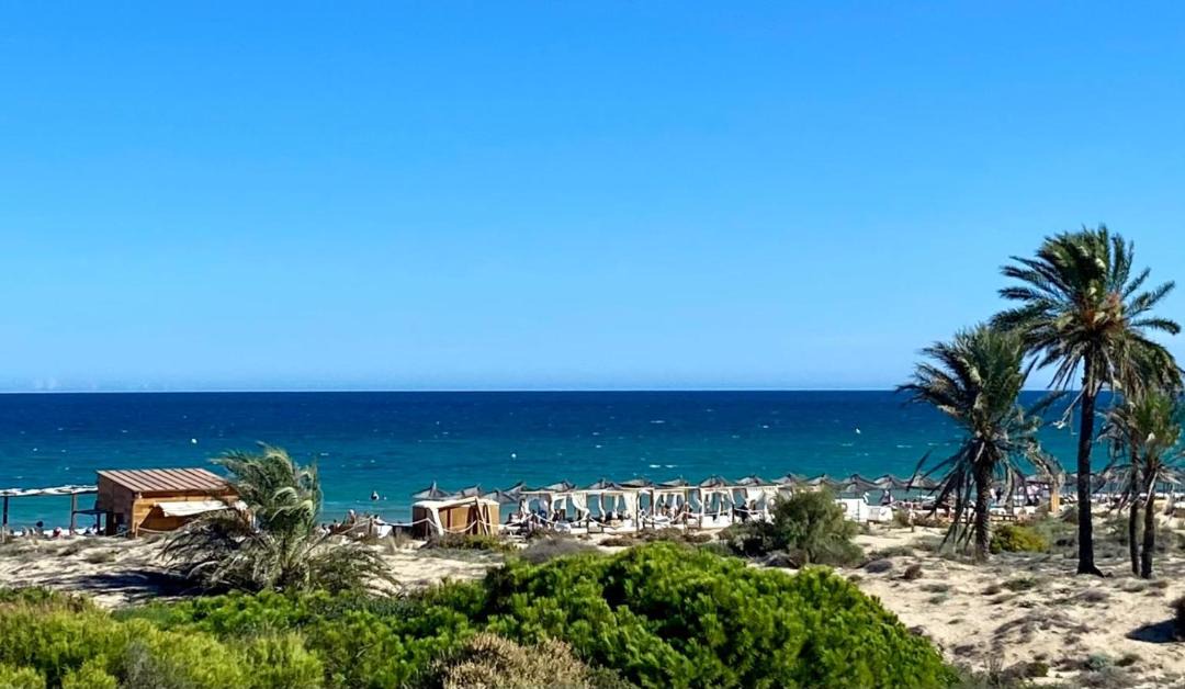 Photo of Others in Los Arenales del Sol