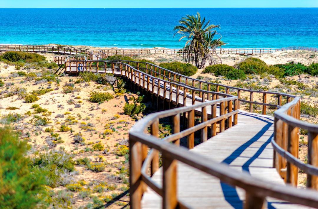 Photo of Others in Los Arenales del Sol