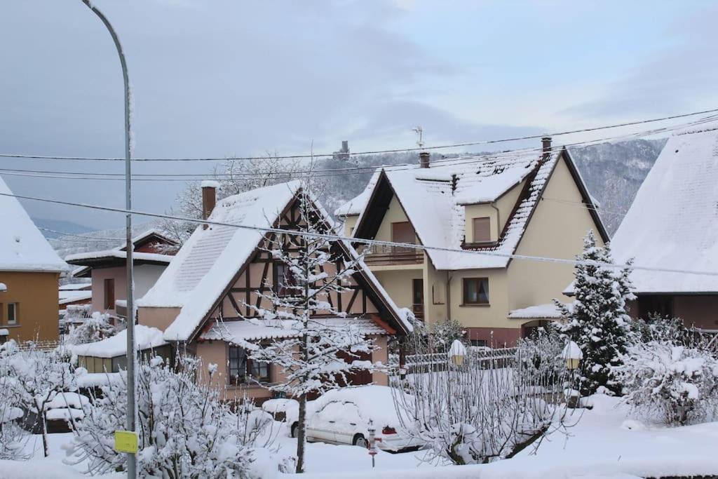 Photo of Others in Scherwiller