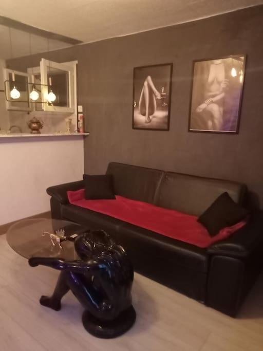 Photo of Livingroom in Saint-Etienne-de-Saint-Geoirs