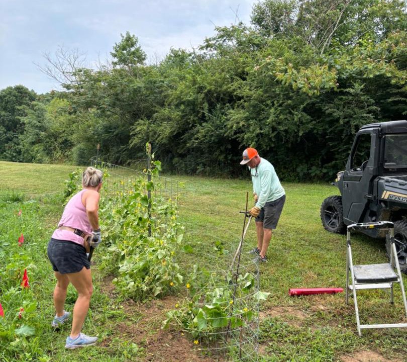 Photo of Outdoor in Ragland