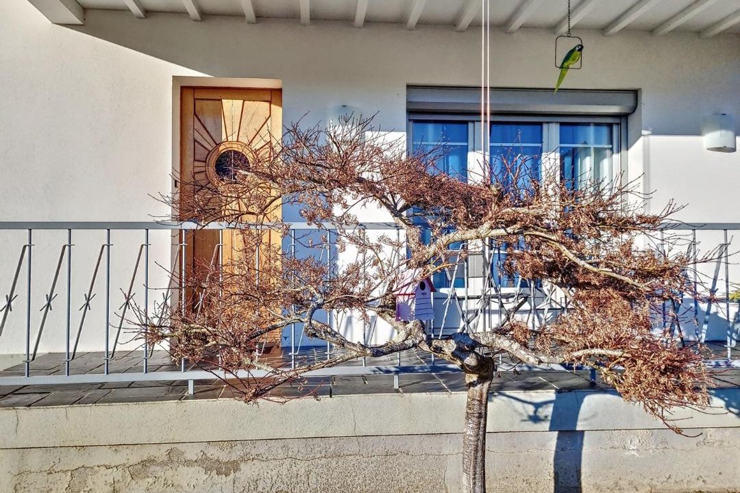 Photo of Others in Siarrouy