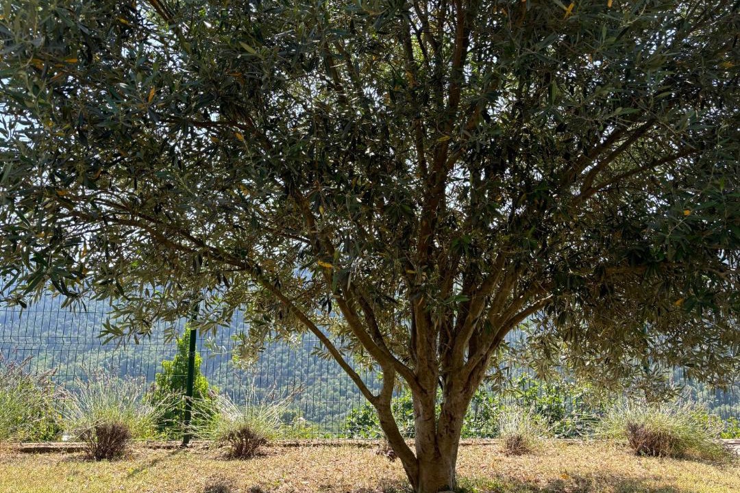 Photo of Outdoor in La Breure