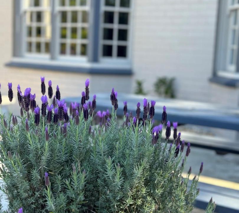 Photo of Others in Raymond Terrace