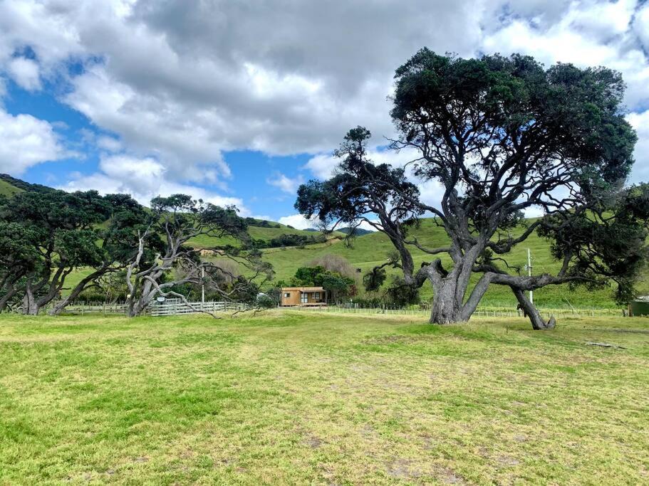 Photo of Others in Rawhiti