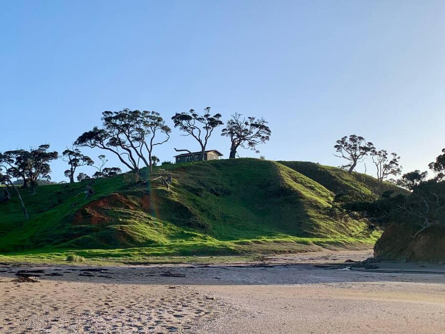 Photo of Others in Rawhiti