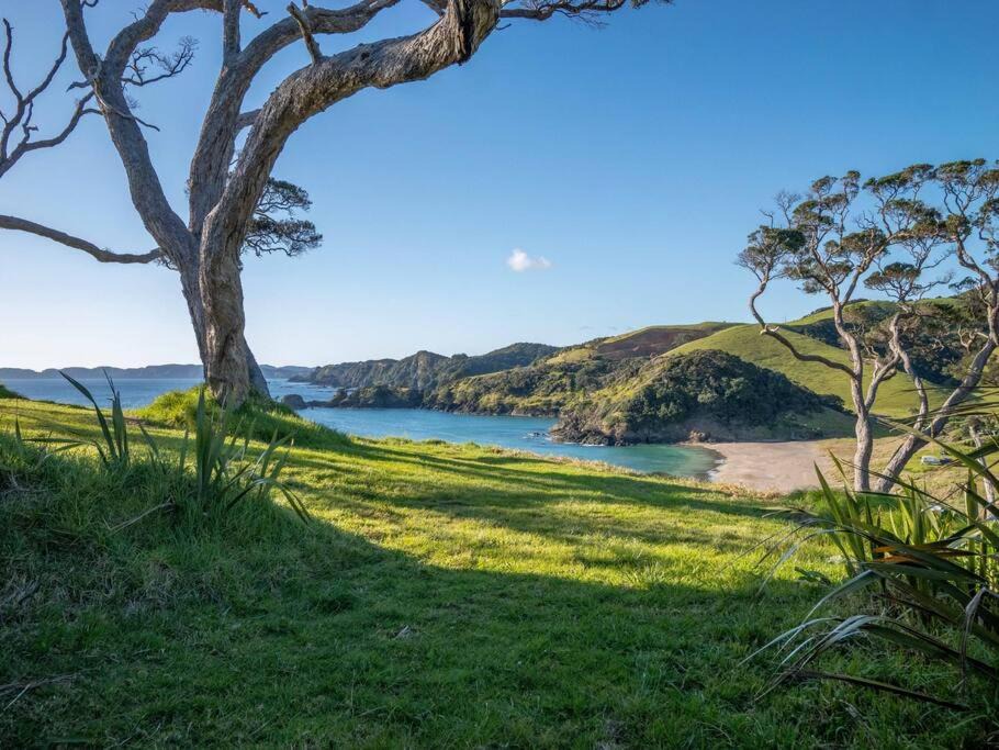 Photo of Others in Rawhiti