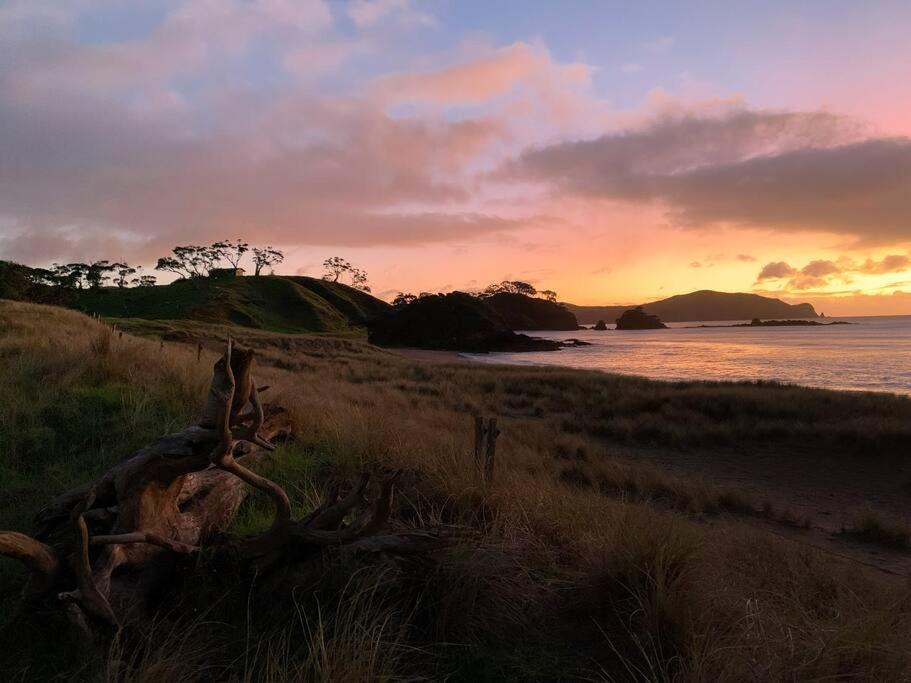 Photo of Others in Rawhiti