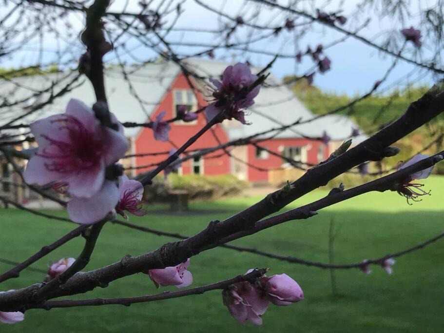 Photo of Others in Otaki