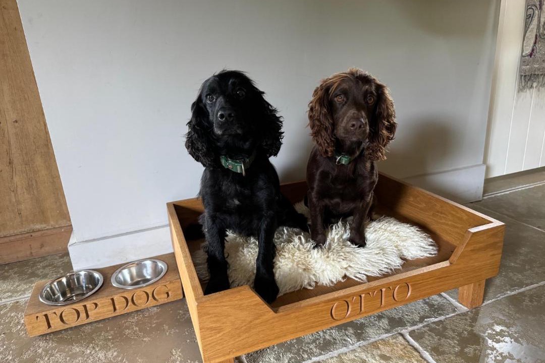 Photo of Others in Boscastle