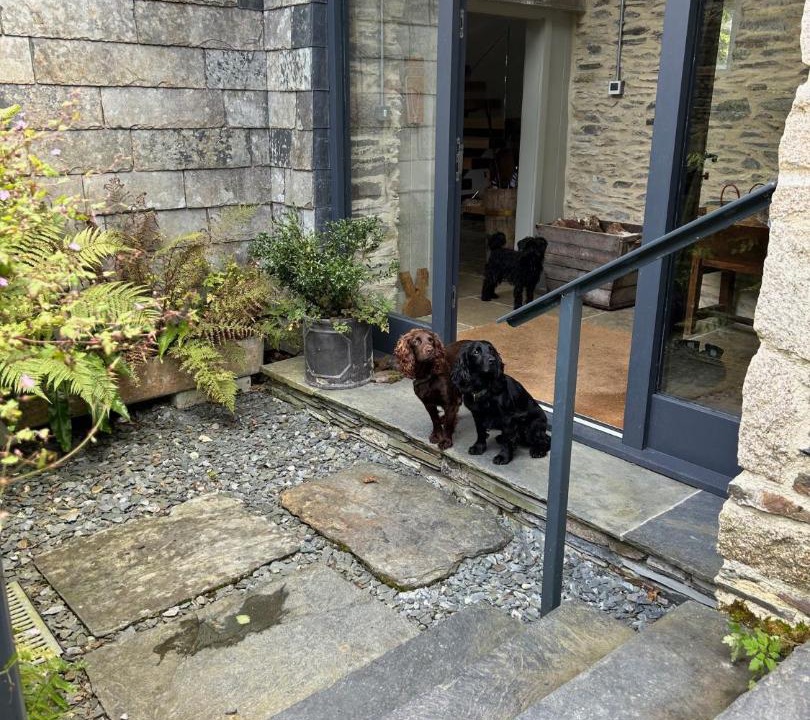 Photo of Others in Boscastle